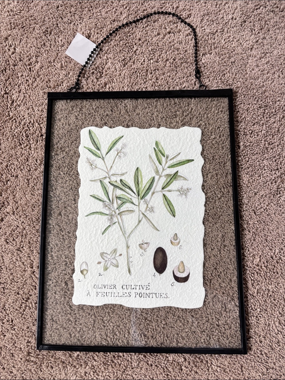 Botanical Olive Branch Wall Art in Black Frame Glass
